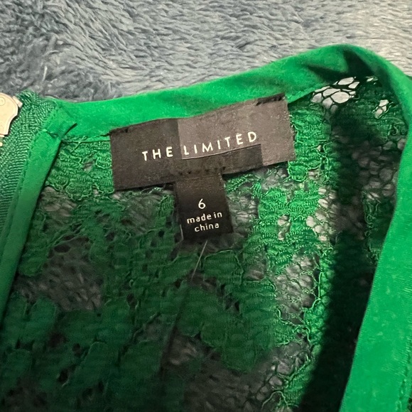 The Limited lined lace dress - Picture 3 of 7